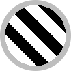 Zebra Noir